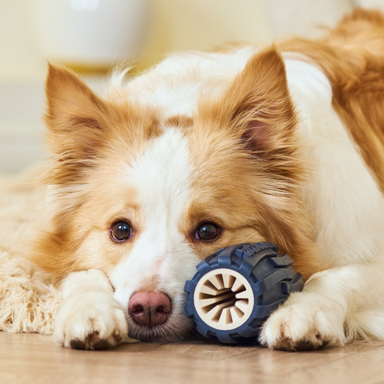 Отзывы. Фотограф в Москве — Галунина Кристина