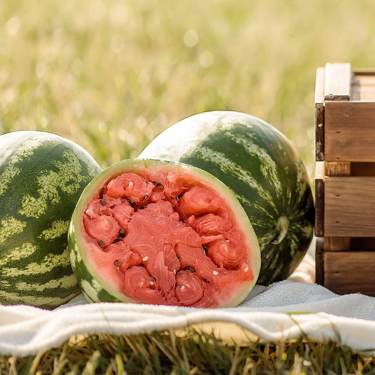 Отзывы. Фотограф в Екатеринбурге Nadinn Toropova