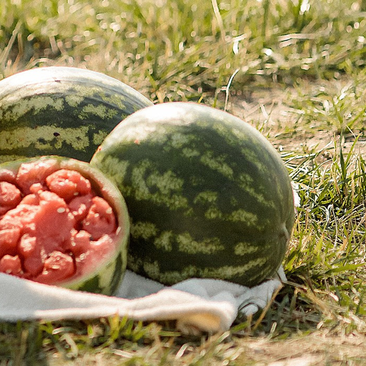 Отзывы. Фотограф в Екатеринбурге Nadinn Toropova