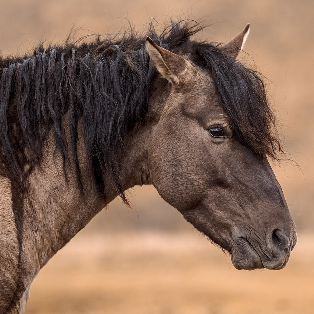 Отзывы клиентов