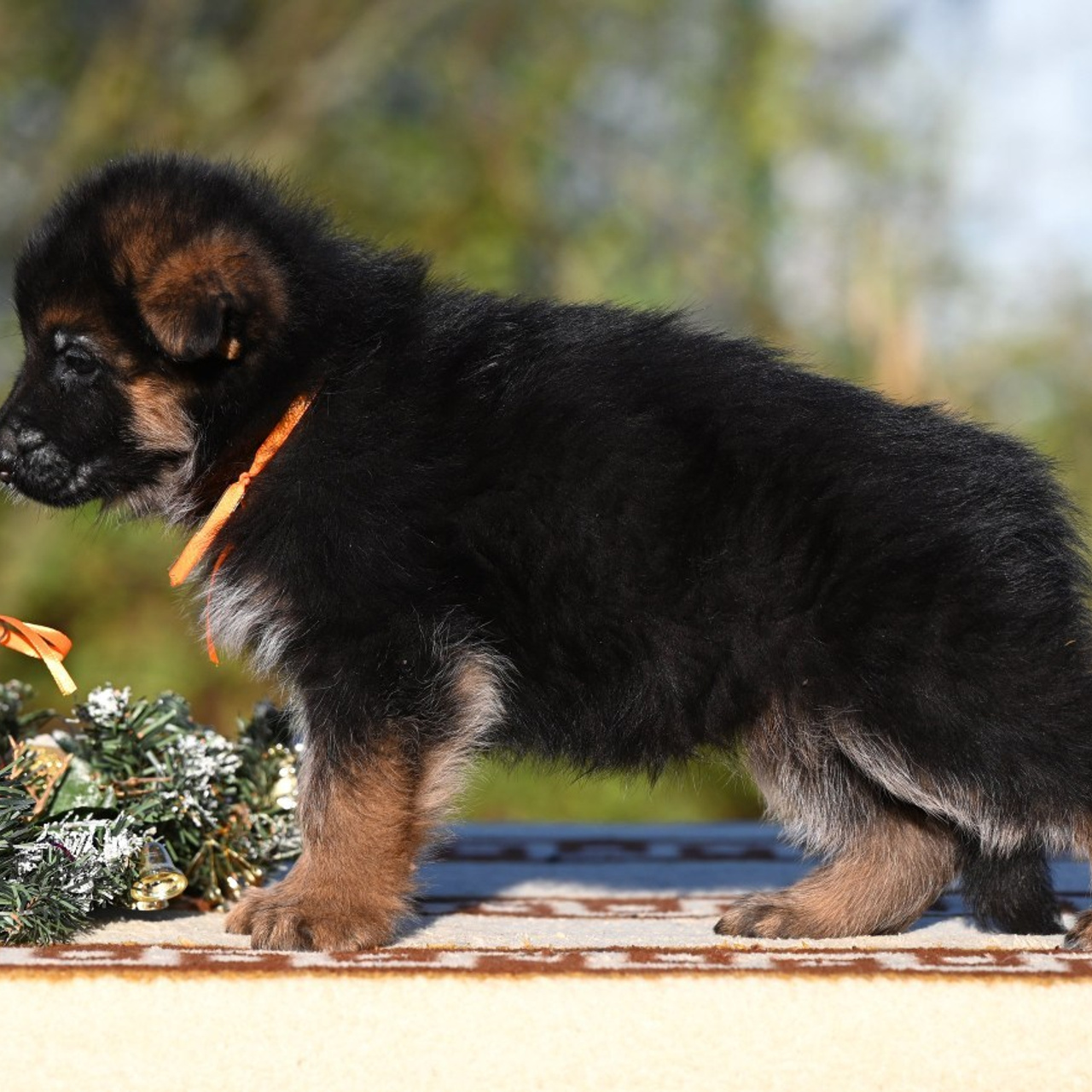 Отзывы. Главная