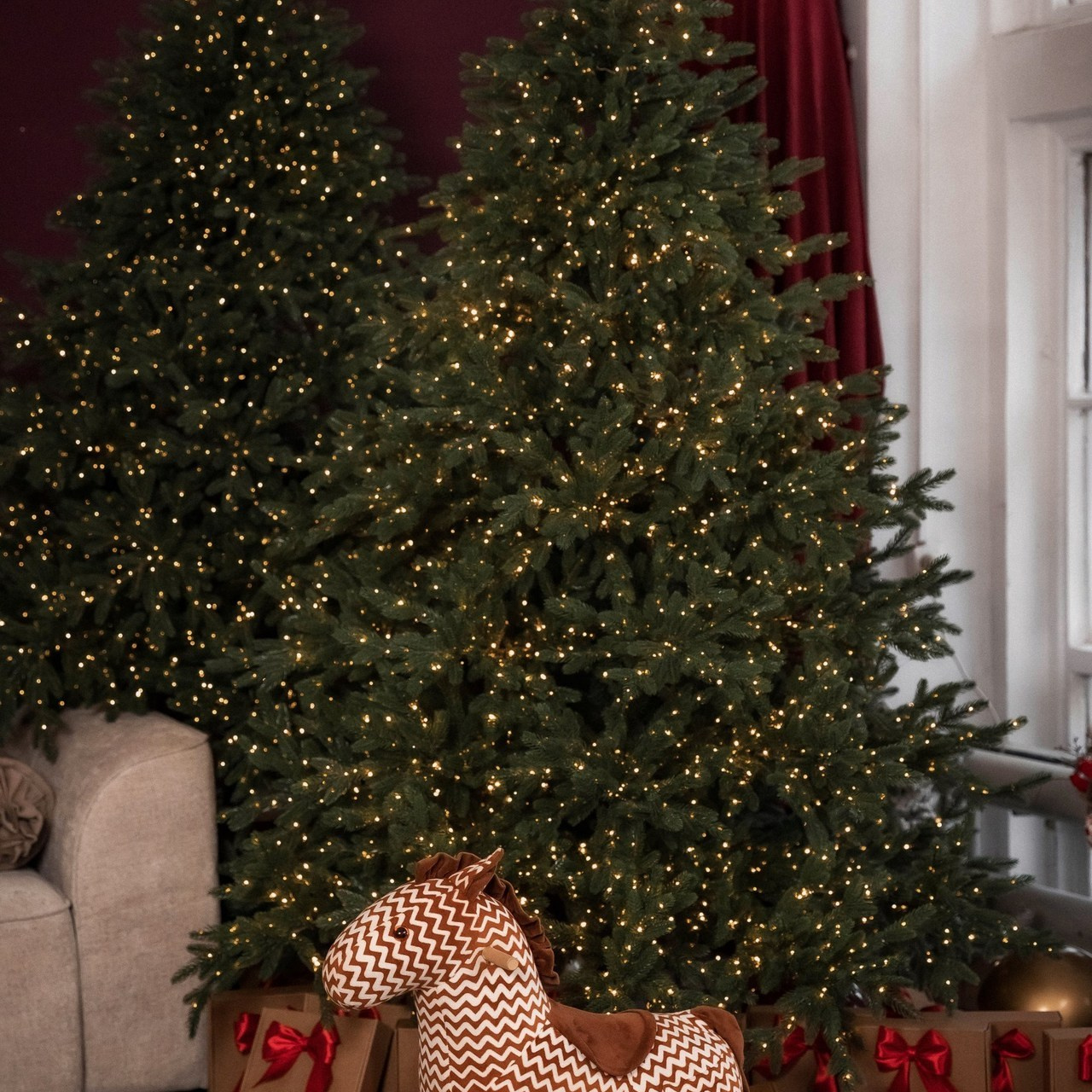 Отзывы. Фотограф Лебедева Татьяна г. Орехово-Зуево