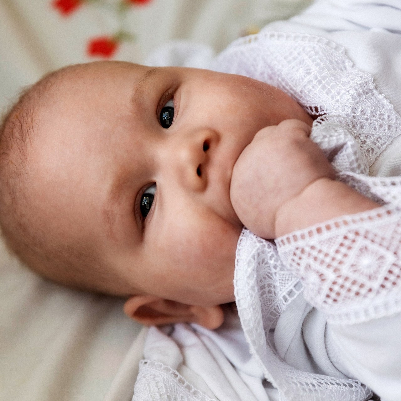 Отзывы. Фотограф Лебедева Татьяна г. Орехово-Зуево