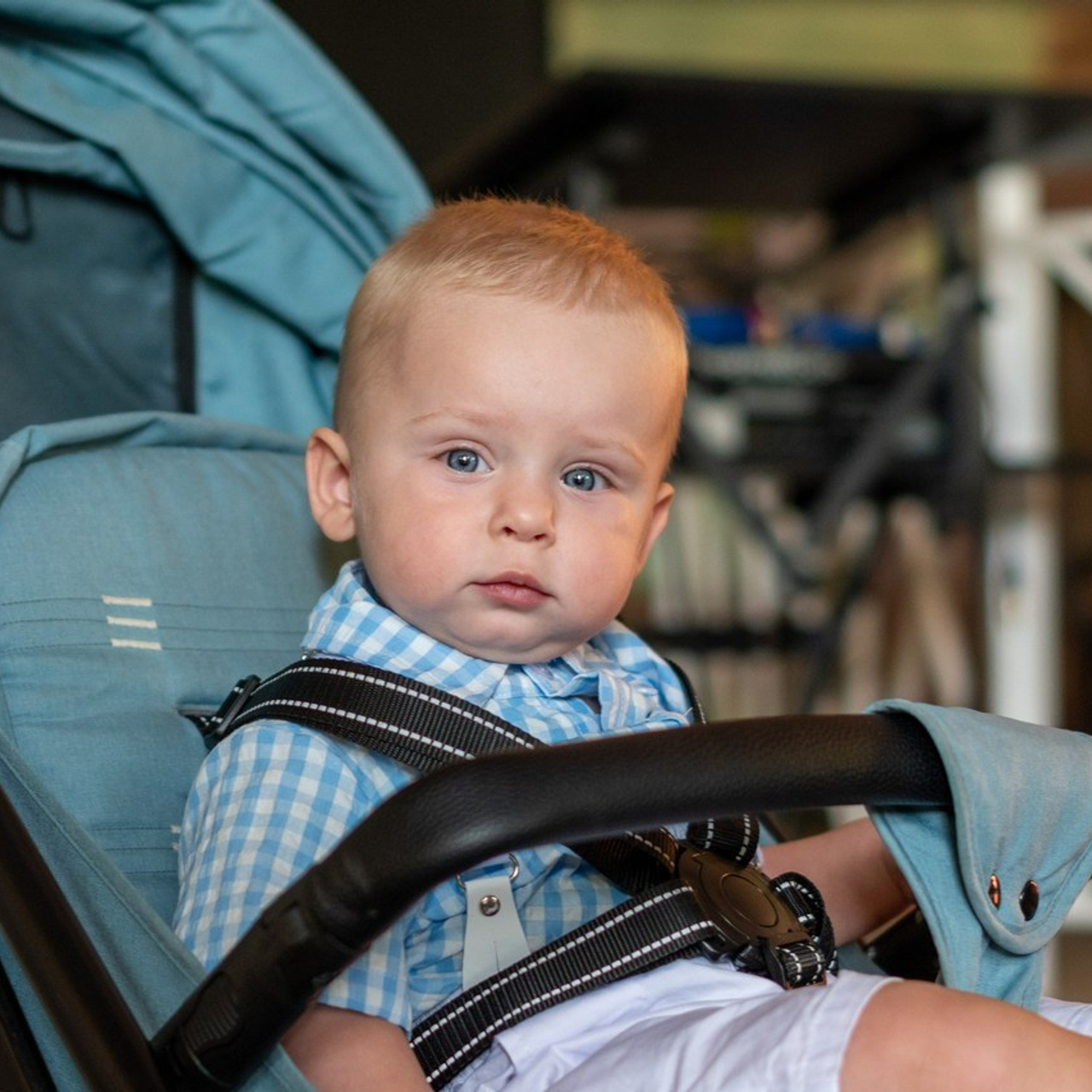 Отзывы. Фотограф в Крыму Эдуард Дубинин