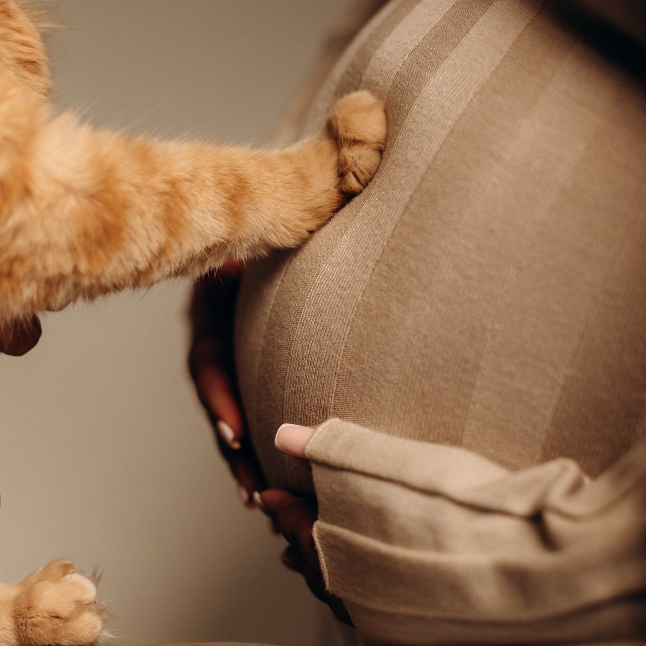 Отзывы. ФОТОГРАФ УФА Чекмагуш Эльвина Шайбакова