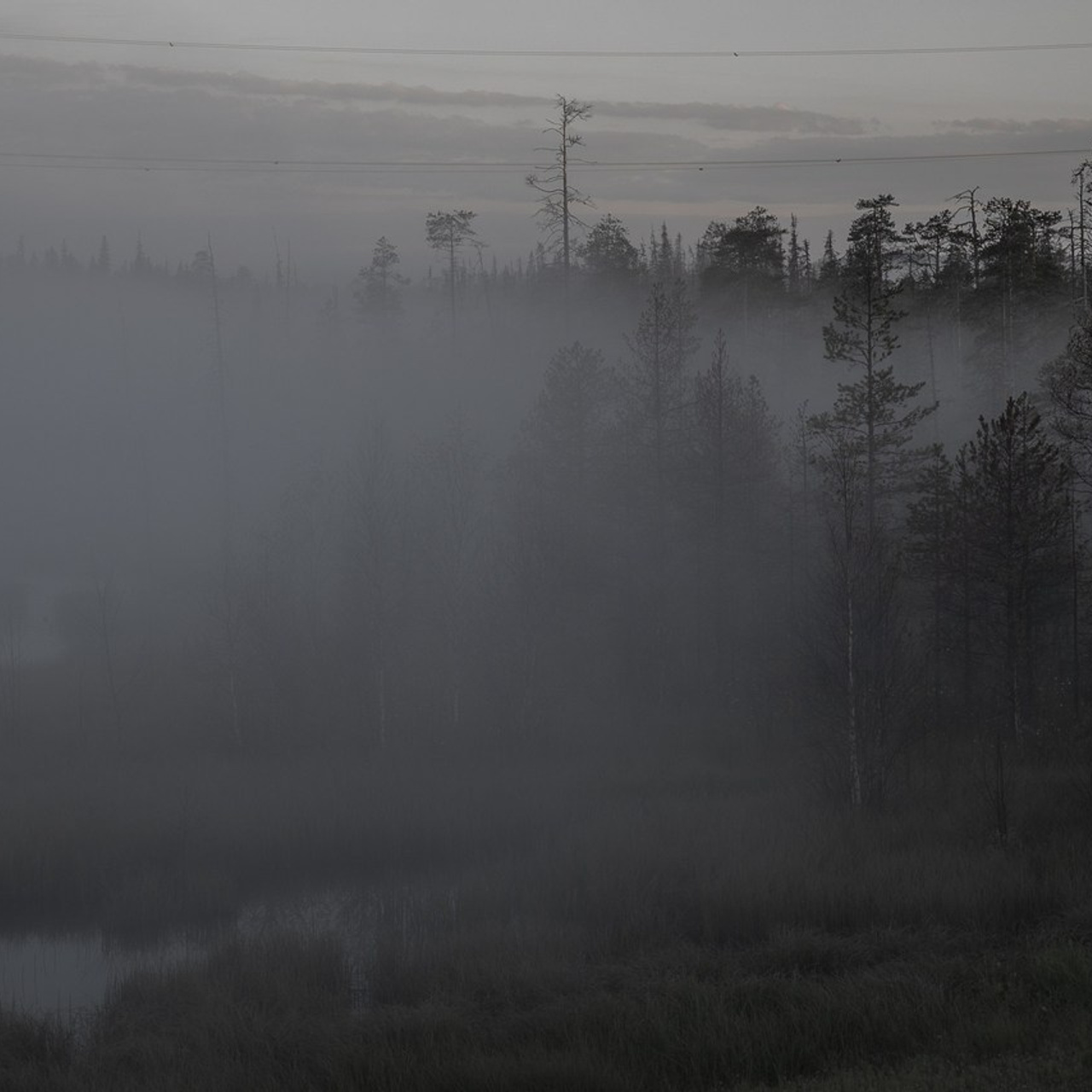 Отзывы. Фотограф — путешественник Светлана Романовская