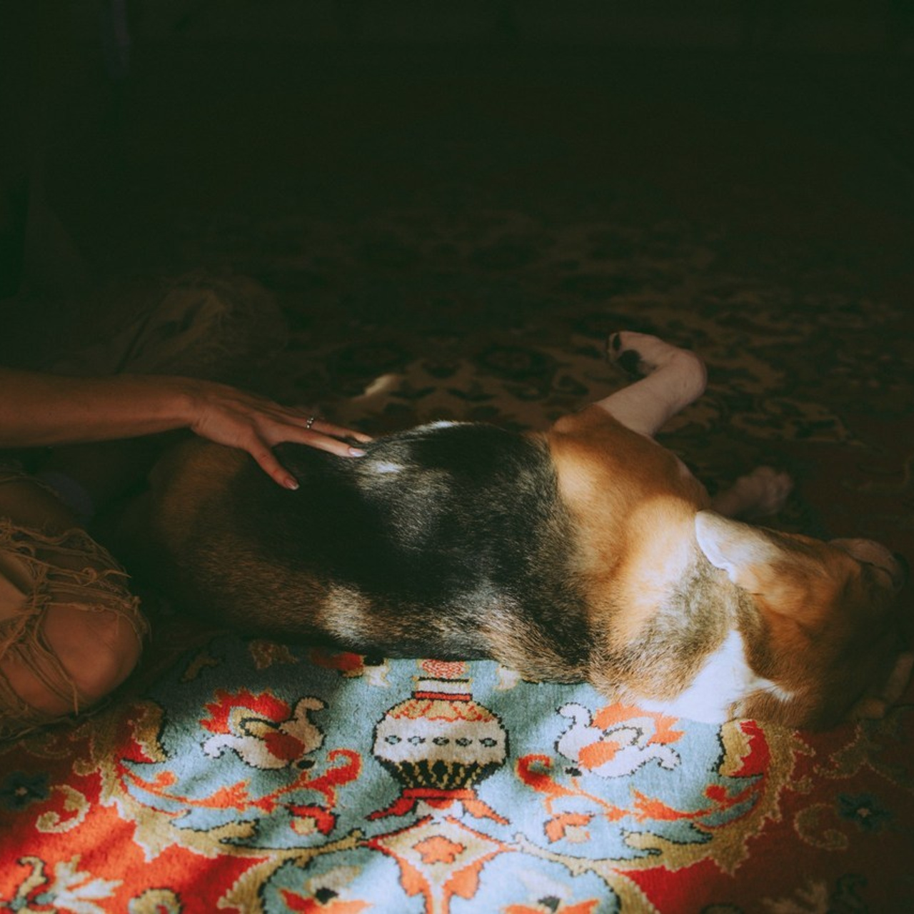 Отзывы. Фотограф в красноярске