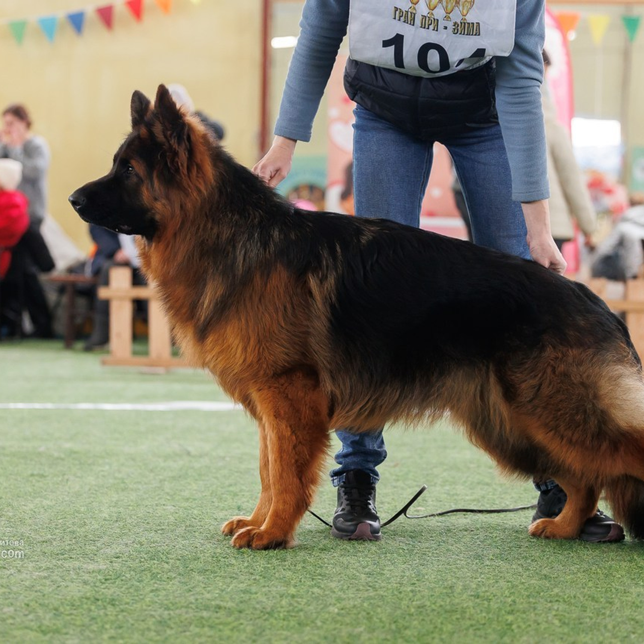 Отзывы. Фотограф собак, фотограф-анималист Аня Титова (Titanya). Москва