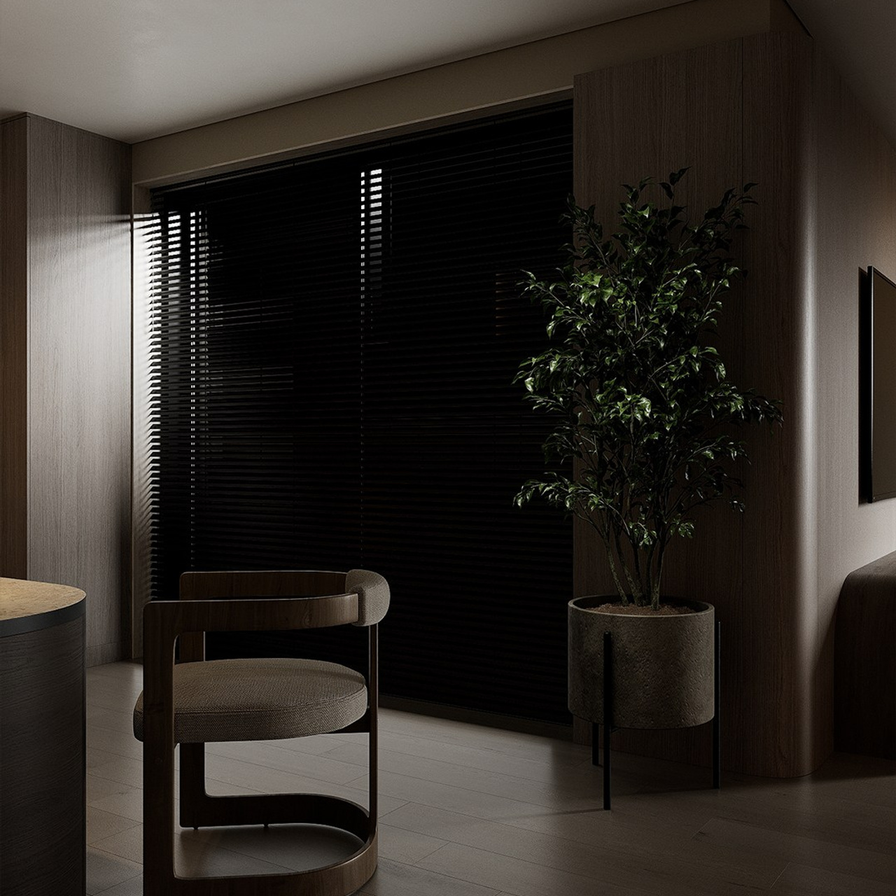 Консультация Ксении. 3d визуализатор Данила Белов Dvisualiz