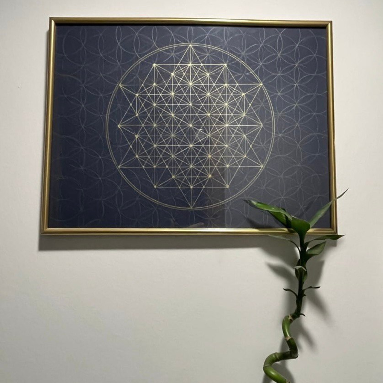 Звездчатый тетраэдр в цветке жизни (30*40)