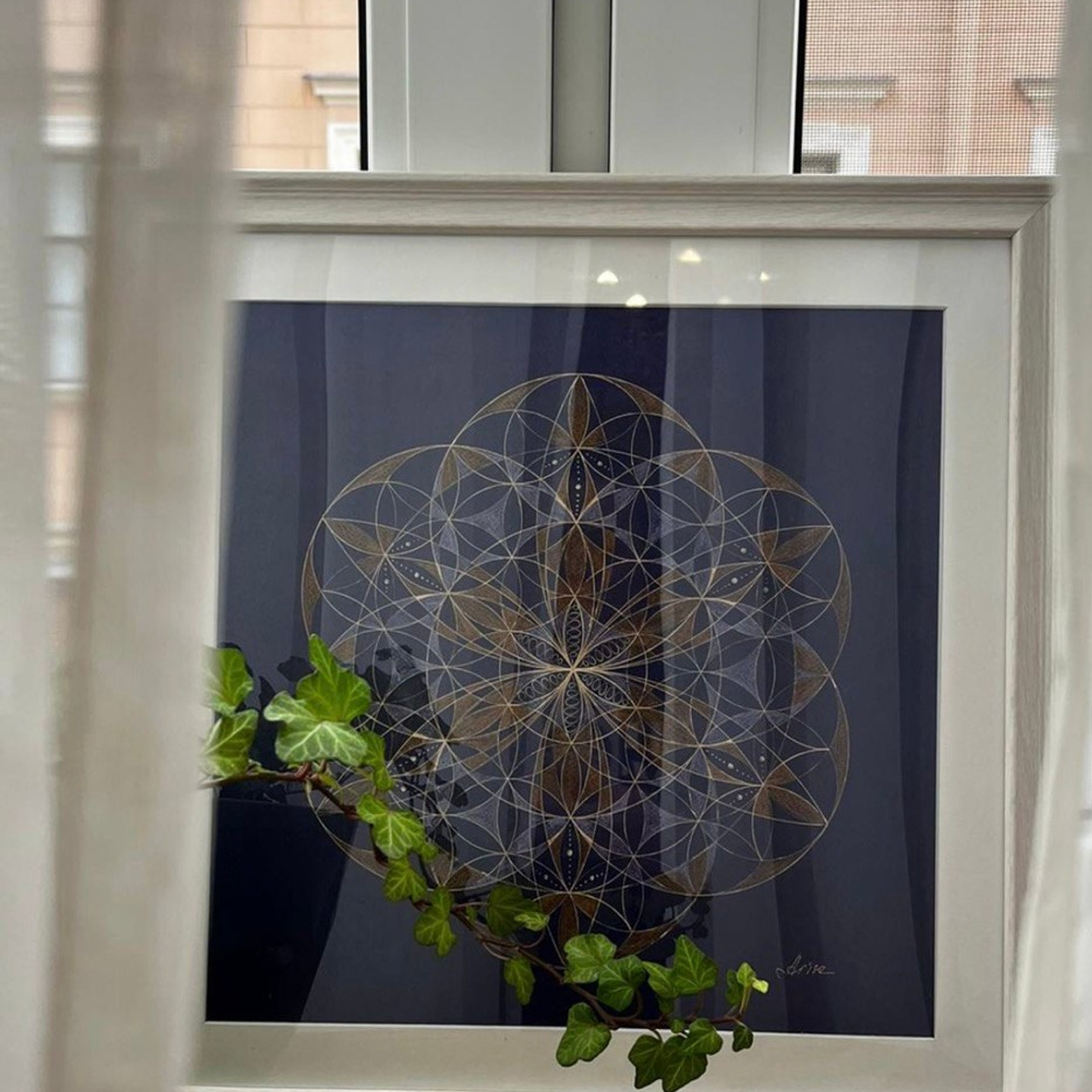 Цветок жизни (30*30)