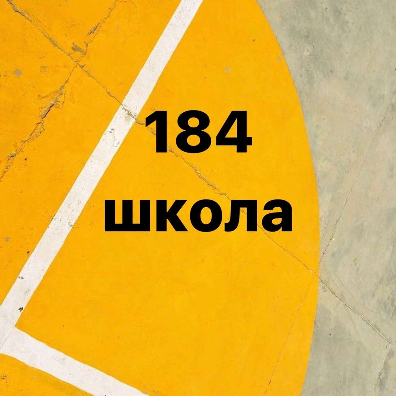 Отзывы о наших школьных фотосессиях