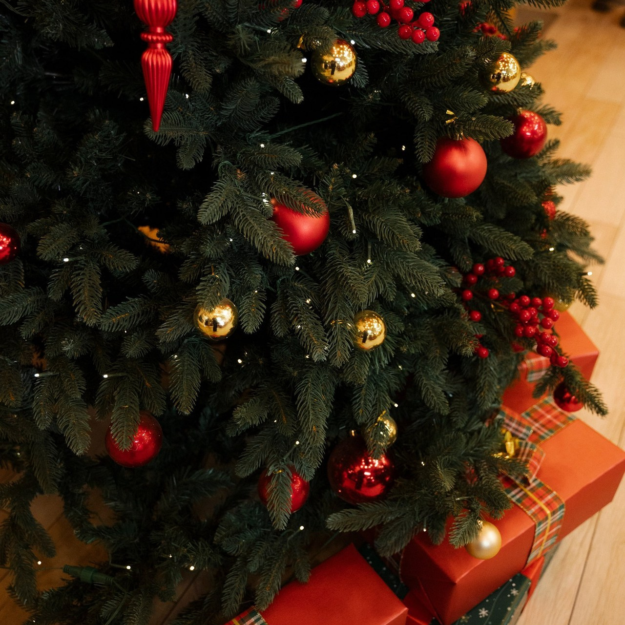 Отзывы. Свадебный фотограф во Владивостоке Гарагуля Игорь