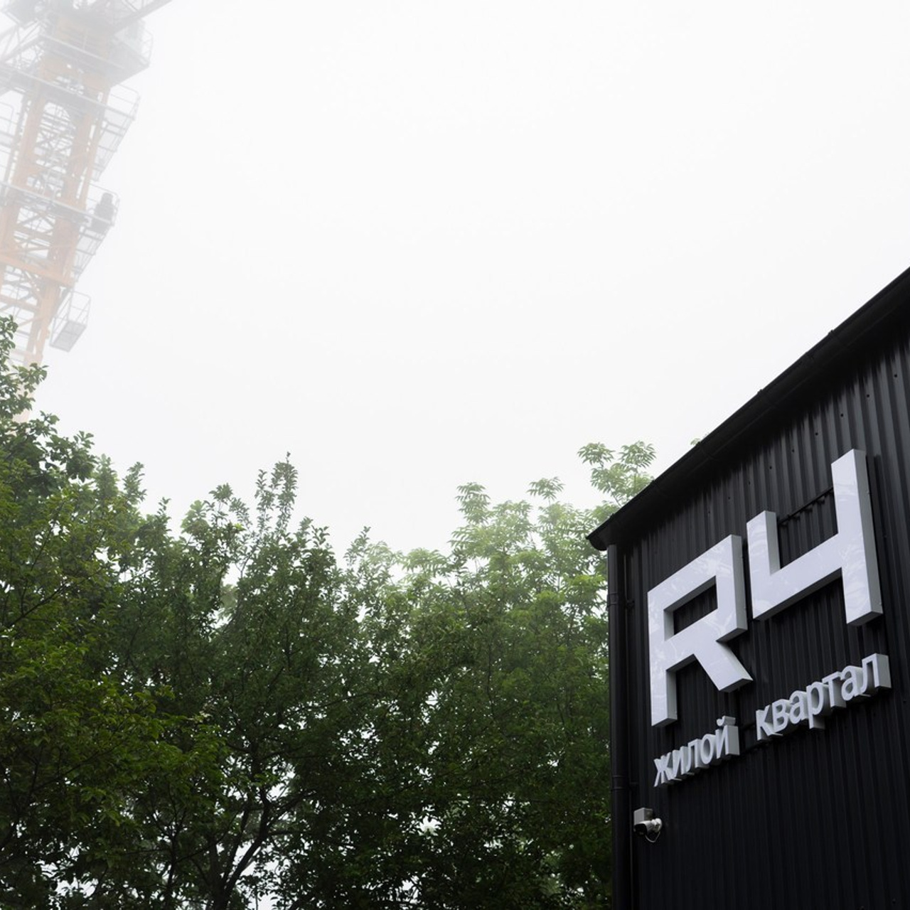 Отзывы. Свадебный фотограф во Владивостоке Гарагуля Игорь