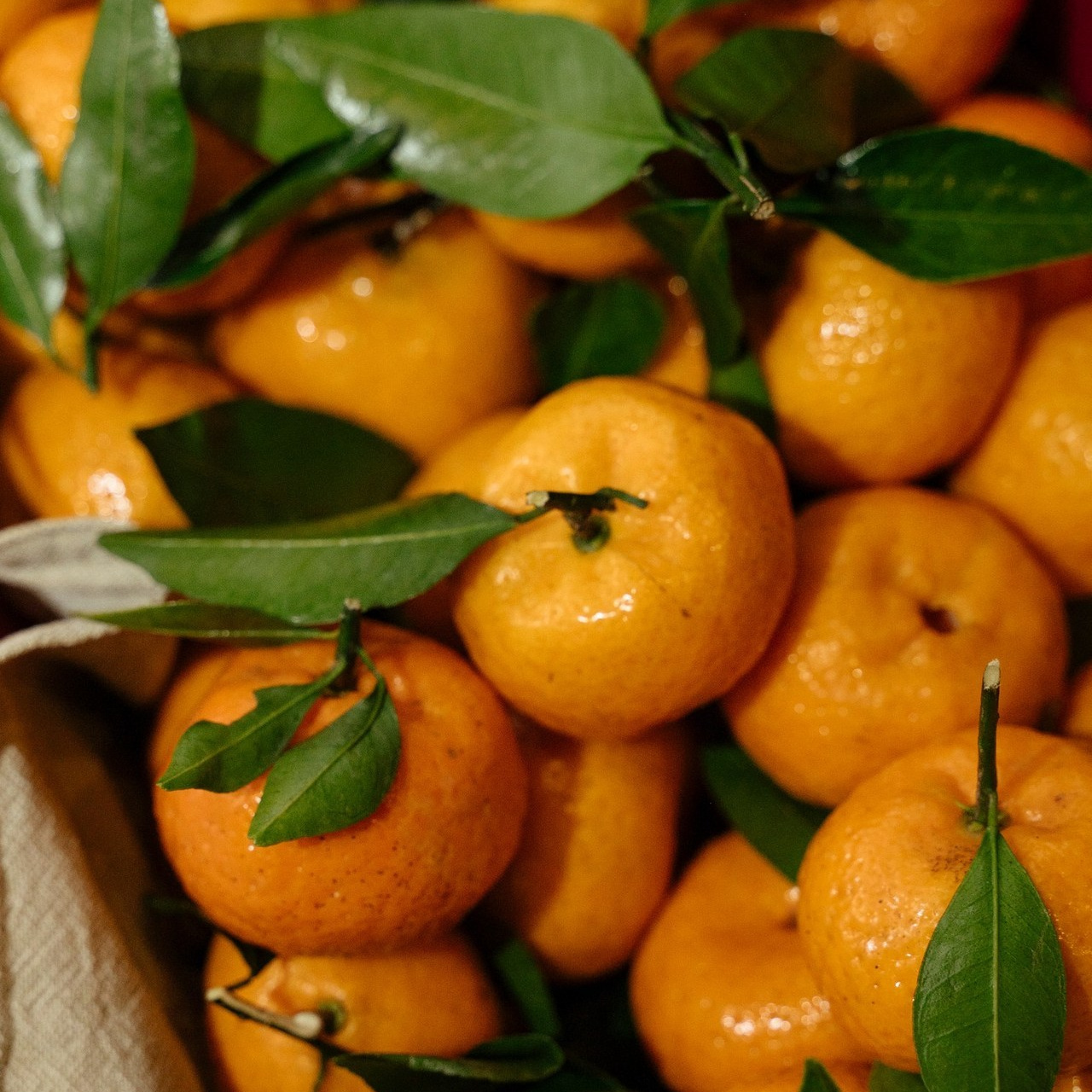 Отзывы. Свадебный фотограф во Владивостоке Гарагуля Игорь