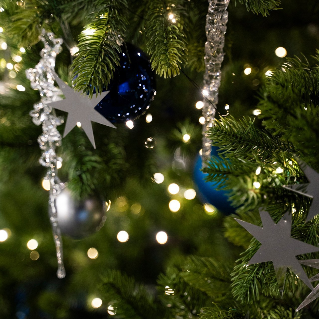 Отзывы. Свадебный фотограф во Владивостоке Гарагуля Игорь