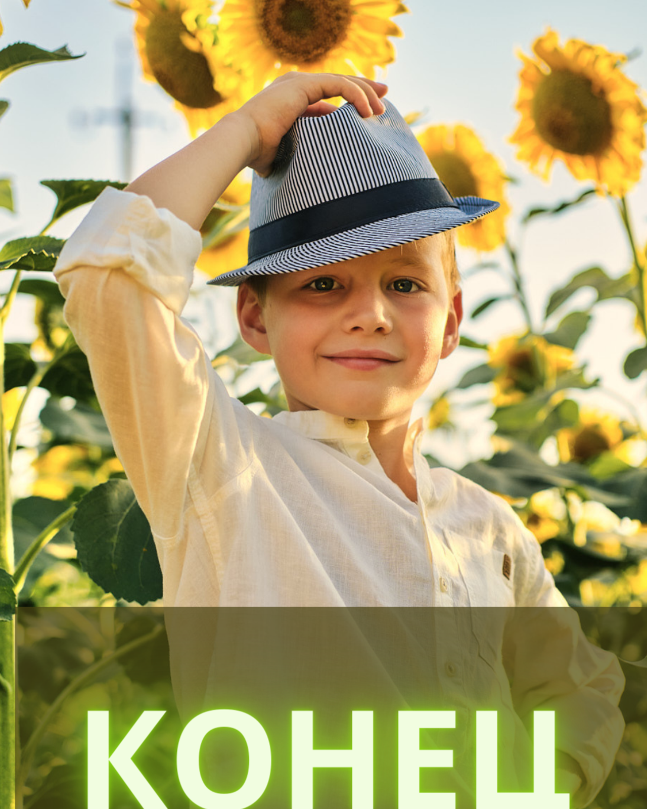 Книга Аллергика