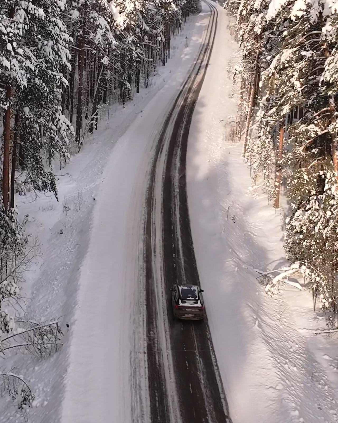 Авто в зимнем лесу
