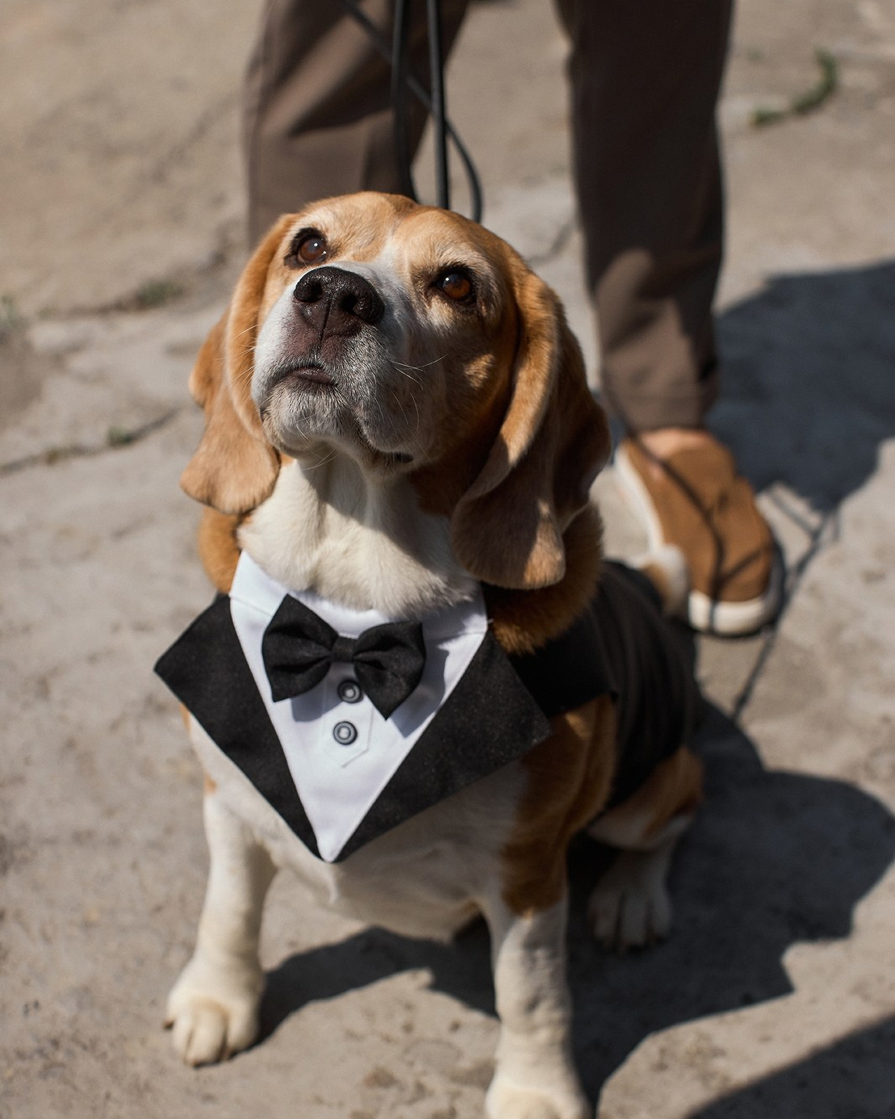 Алексей и Анастасия