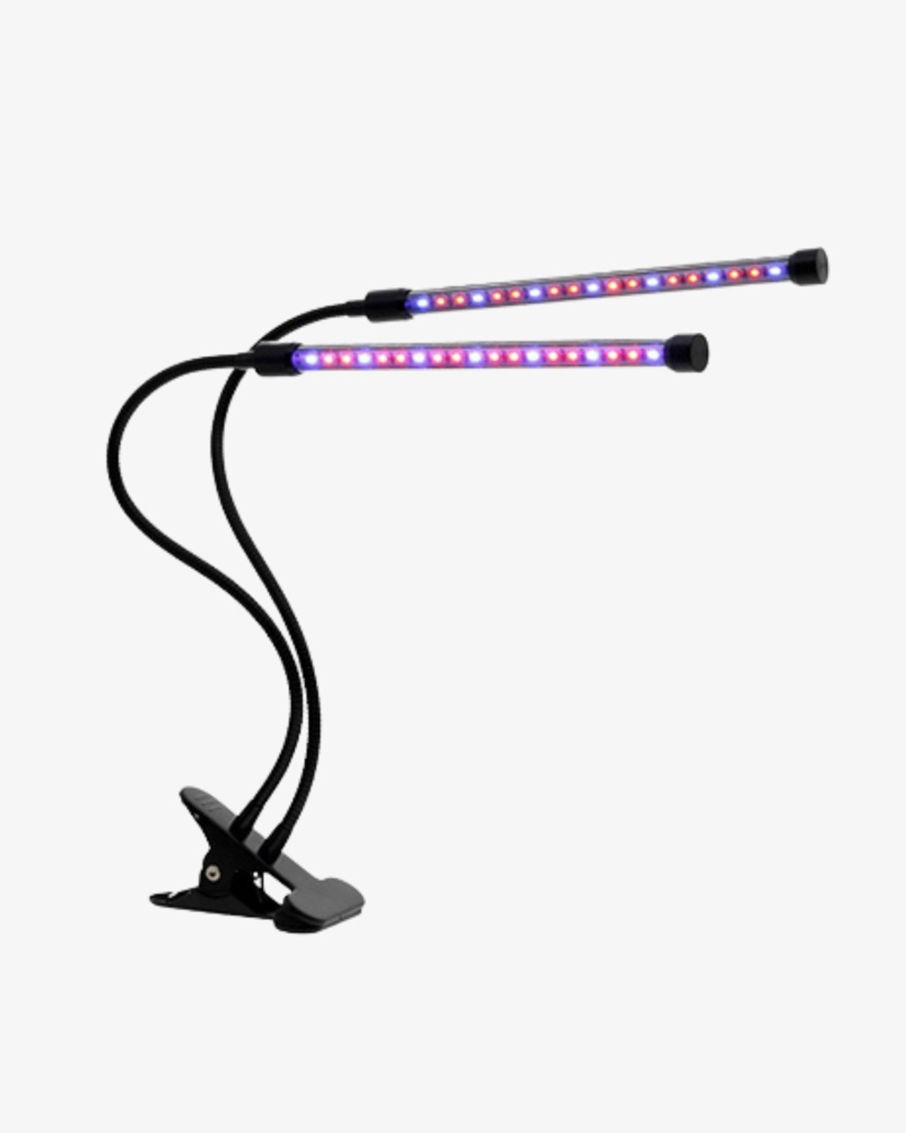 Инфографика: фитолампа