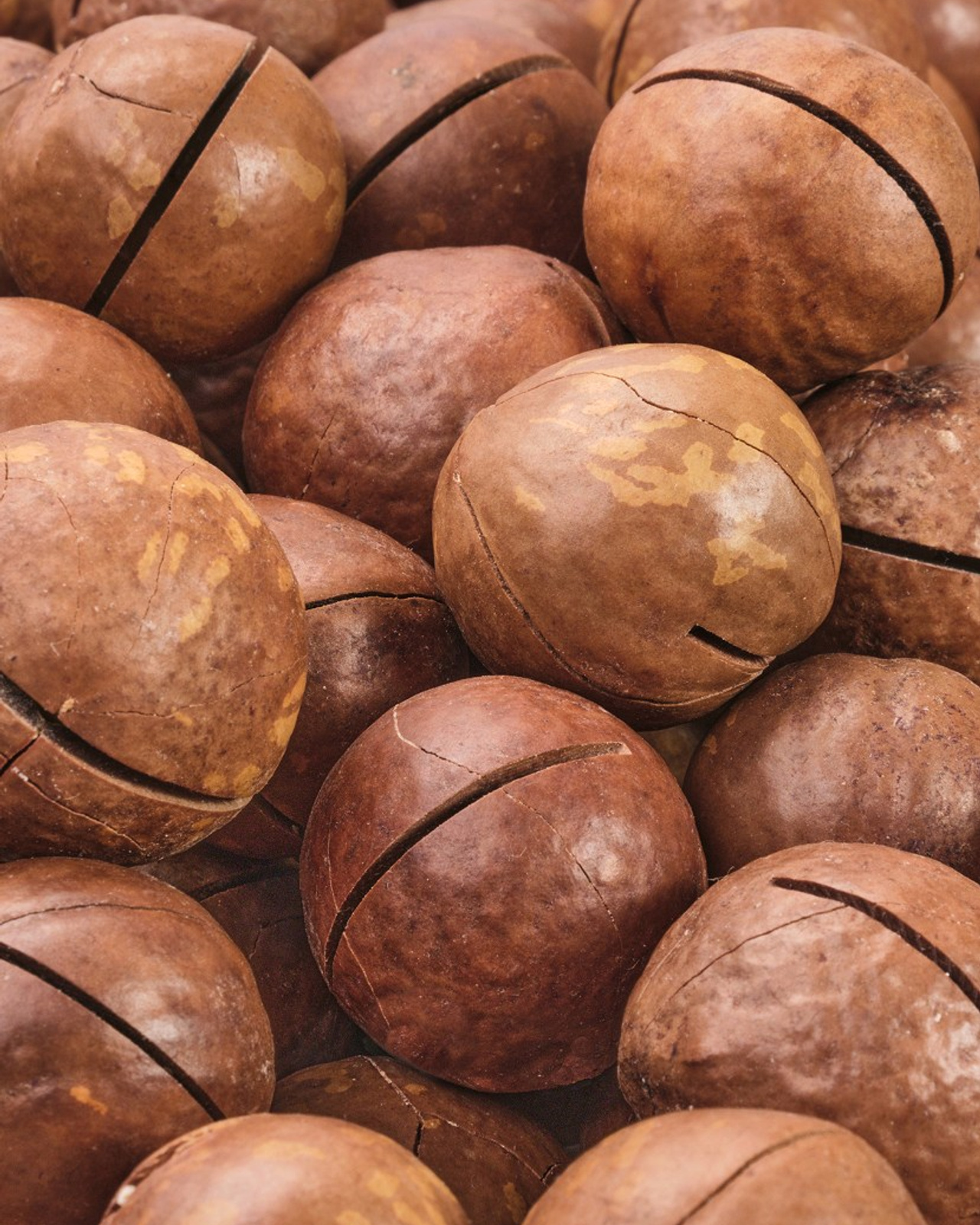 Инфографика: орехи