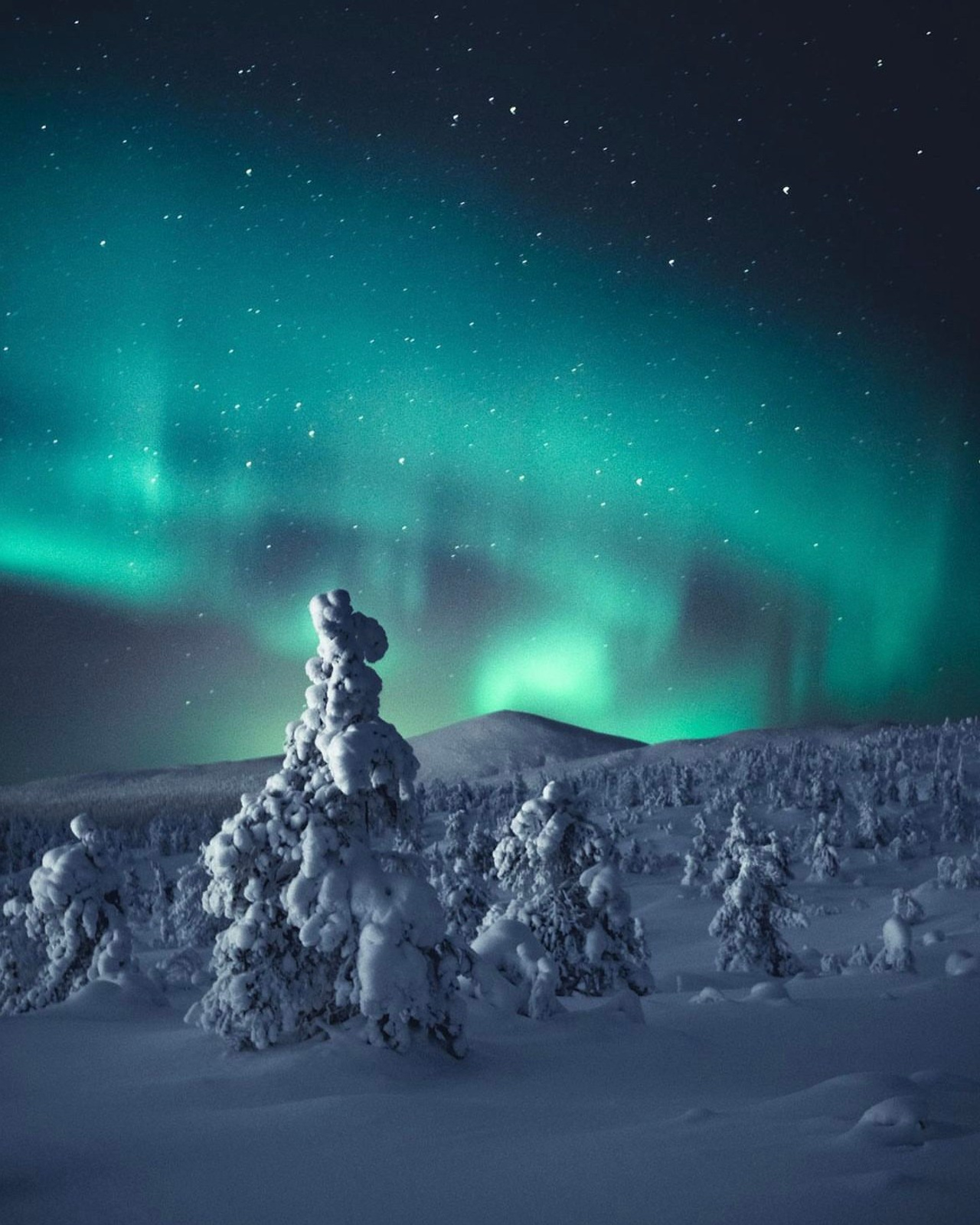 КАНДАЛАКША | БЕЛОЕ МОРЕ