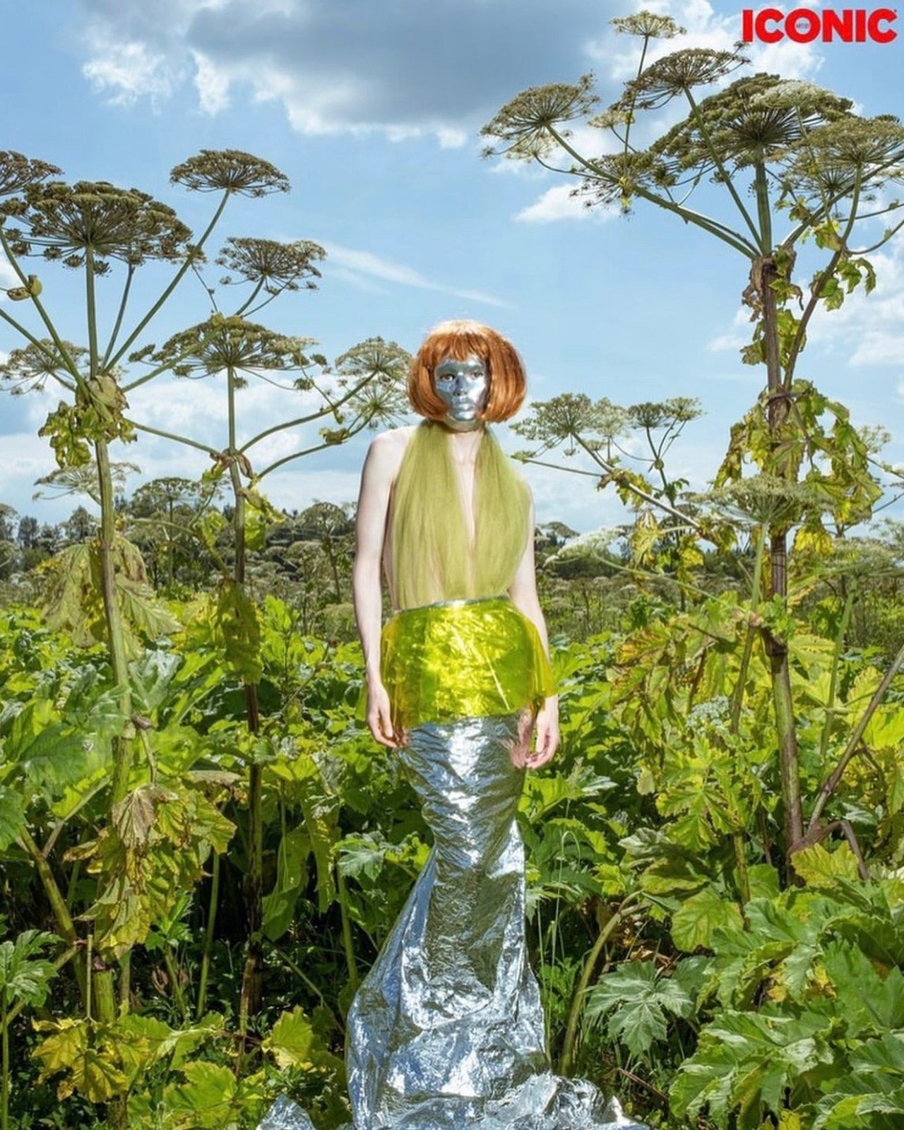 Альбом № 1