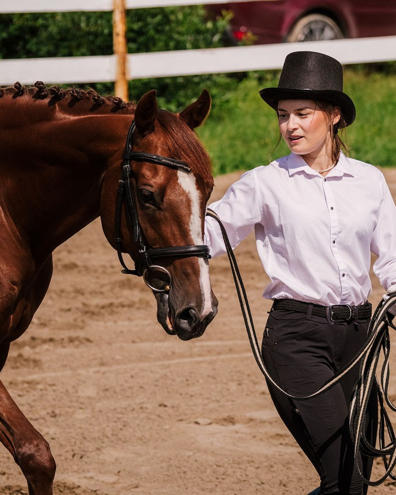 Скачки фаворитов