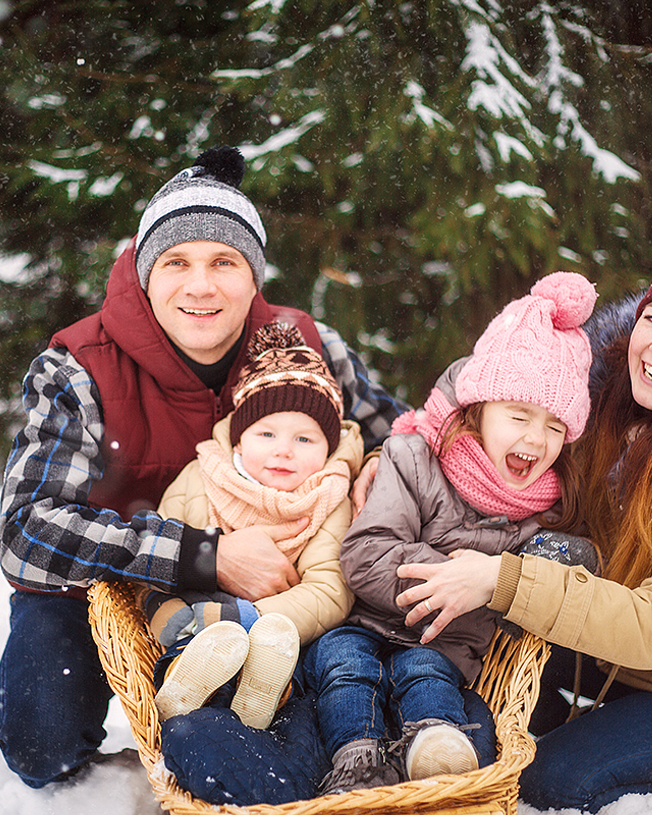 Зимняя семейная история