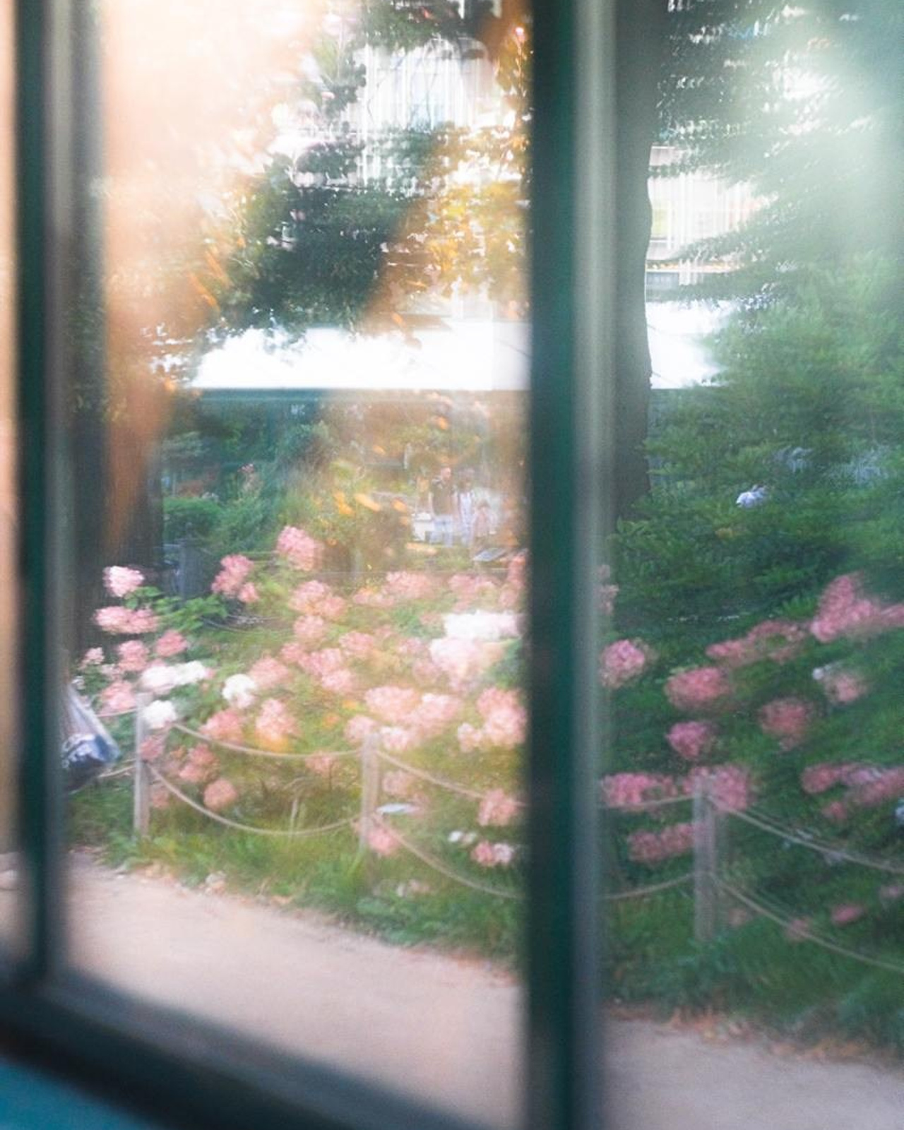 Аптекарский огород