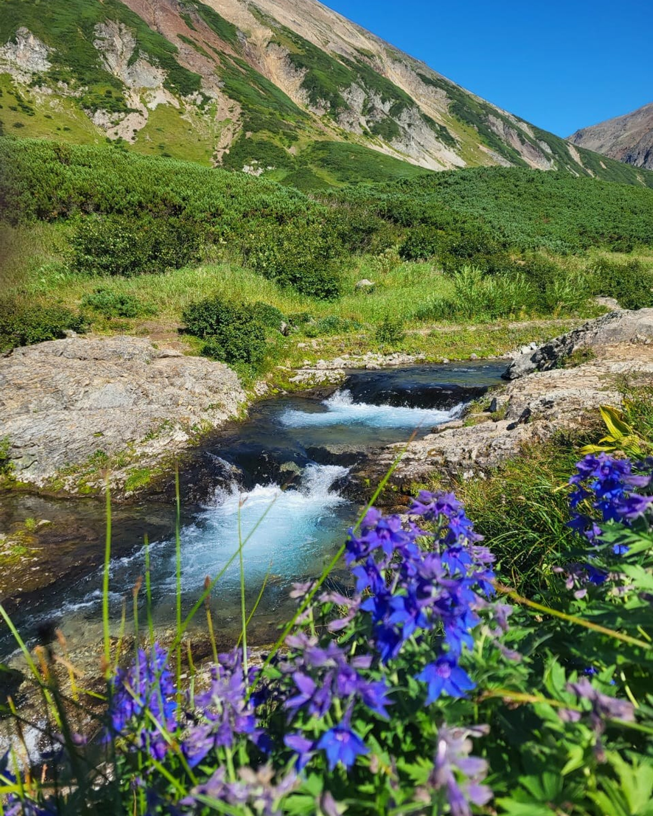 Программа «Семь дней на&nbsp;краю света»