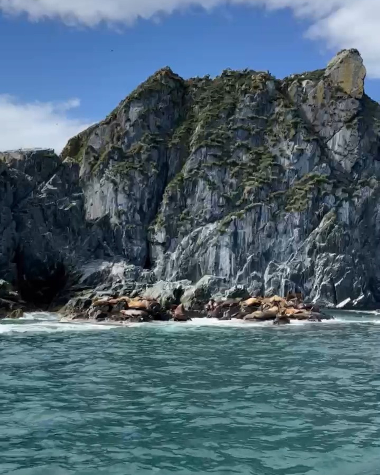 Морская прогулка к&nbsp;острову Старичков