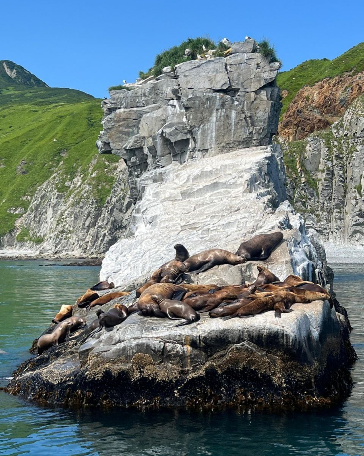 Морская прогулка в&nbsp;бухту Русскую