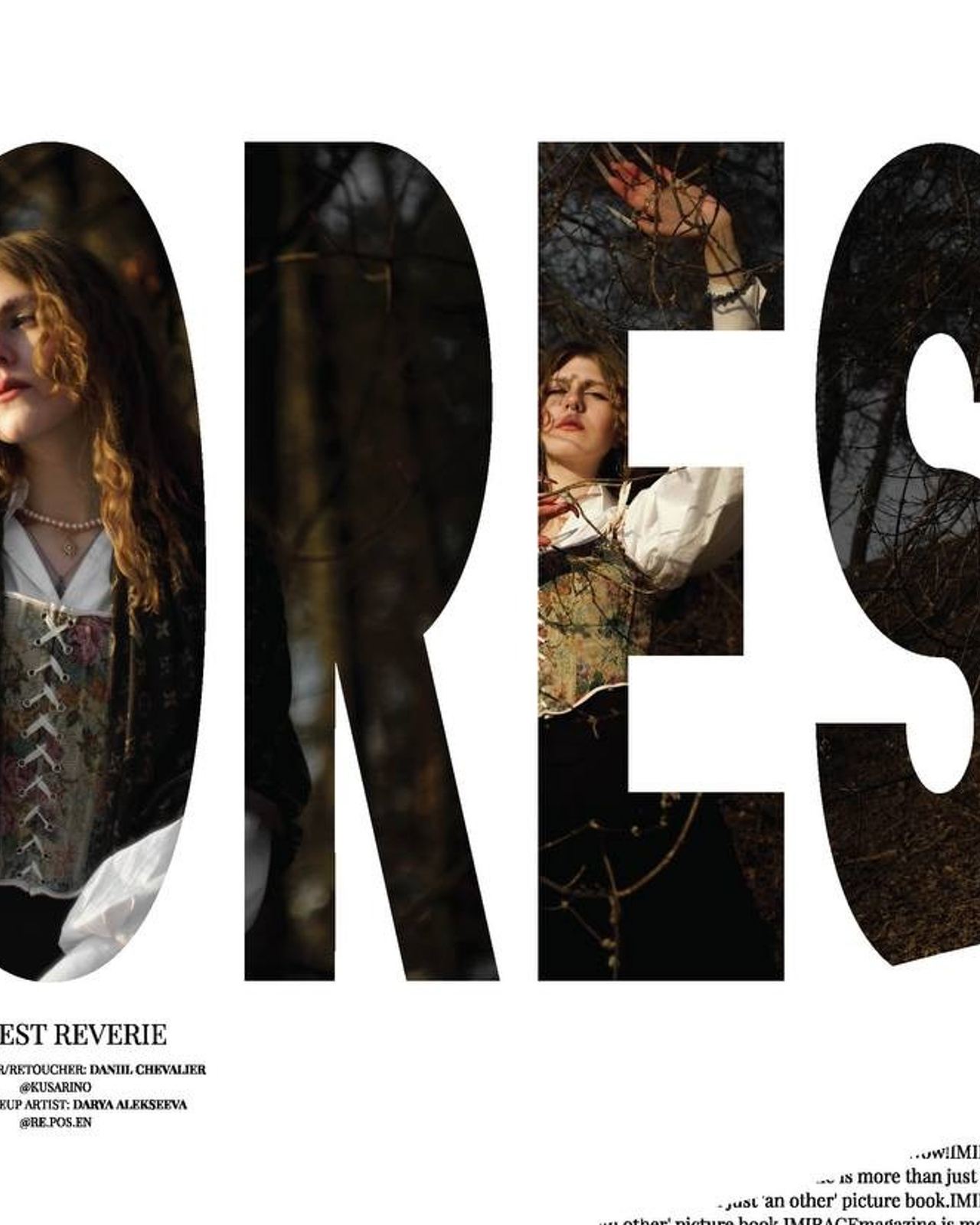 Forest Reverie — IMIRAGEmagazine