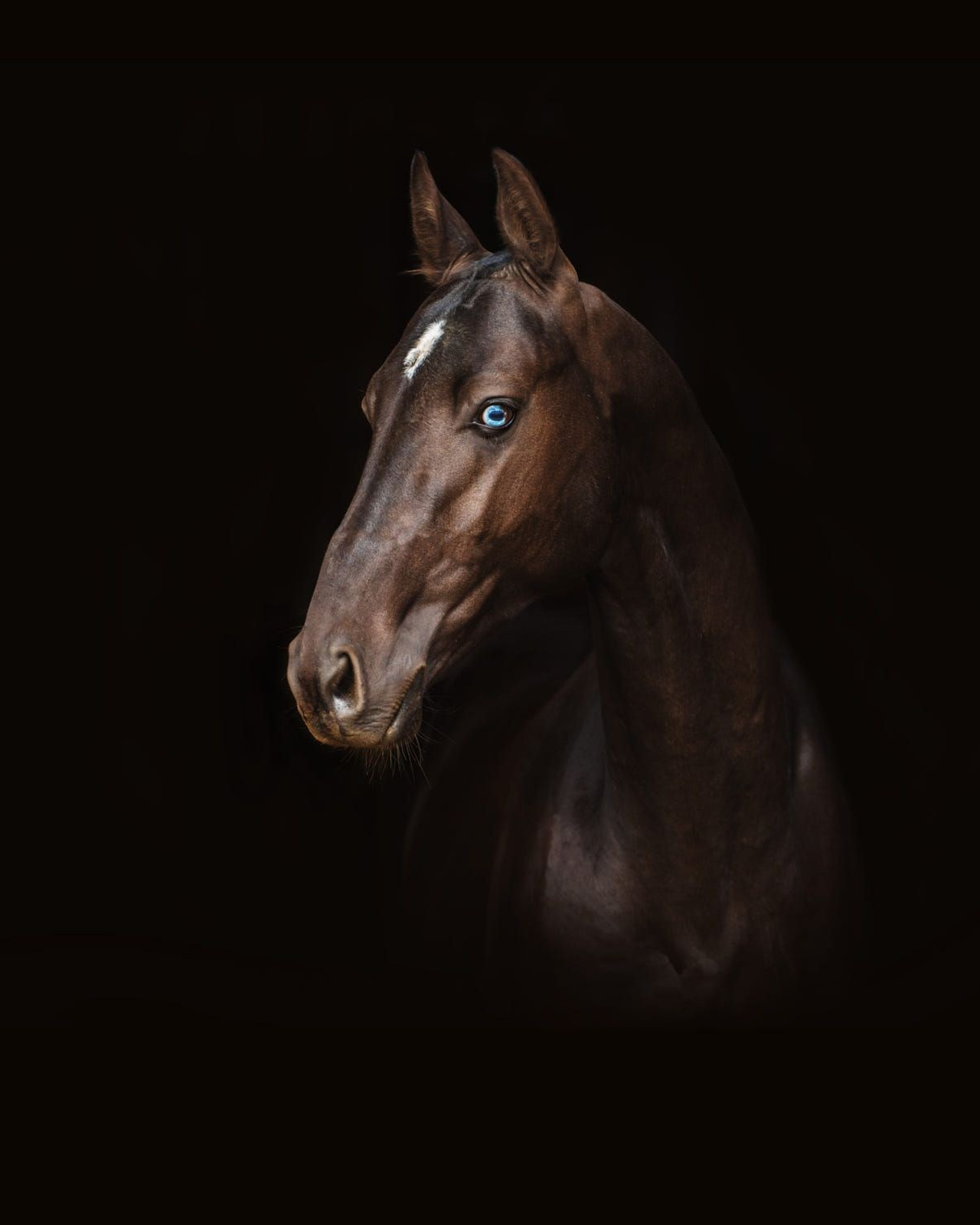 Проекты для детей