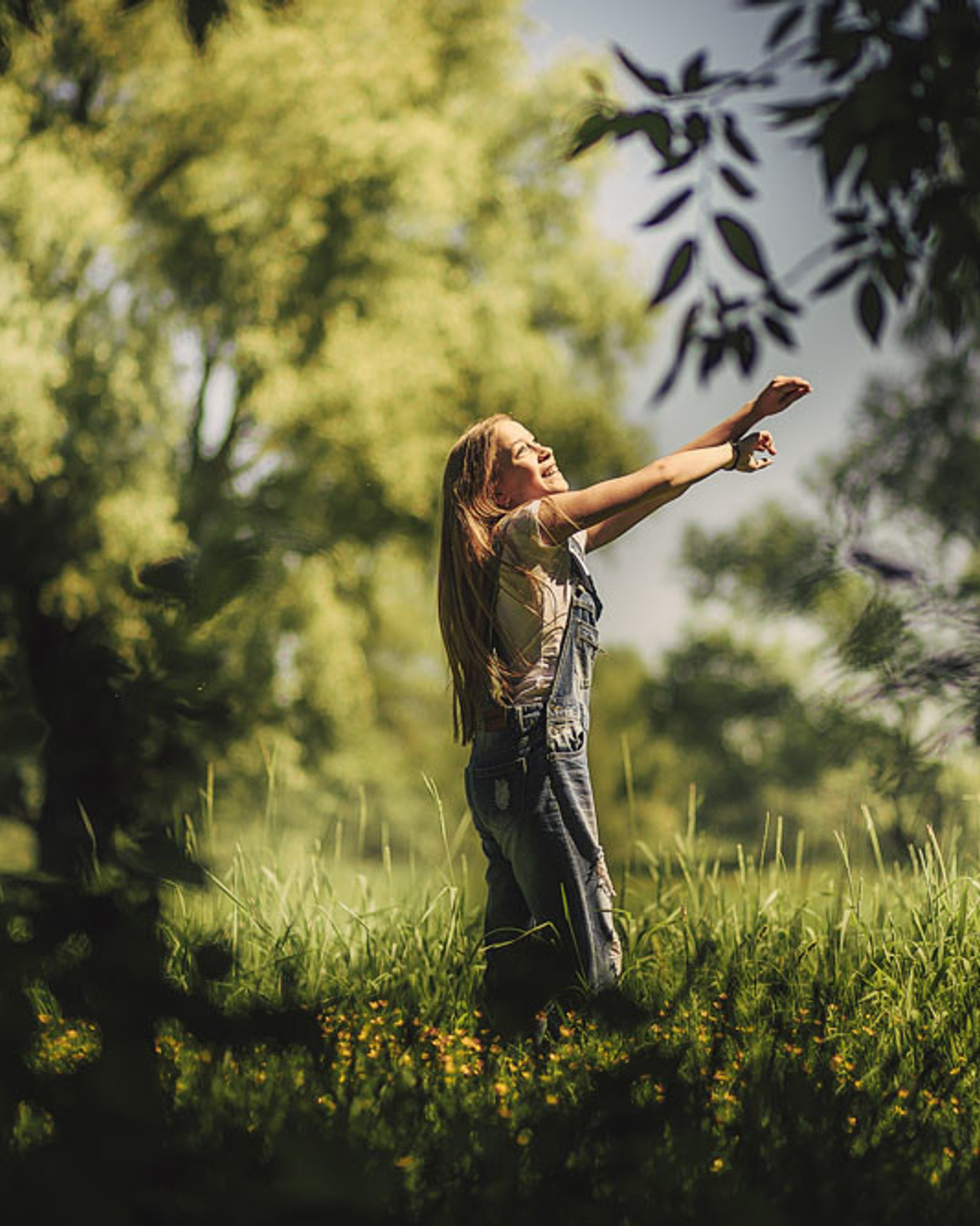 На летнем лугу