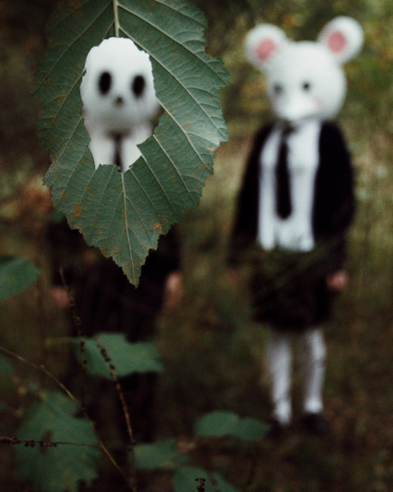 Сosplay: «Психонавты» (Женя и Леся)