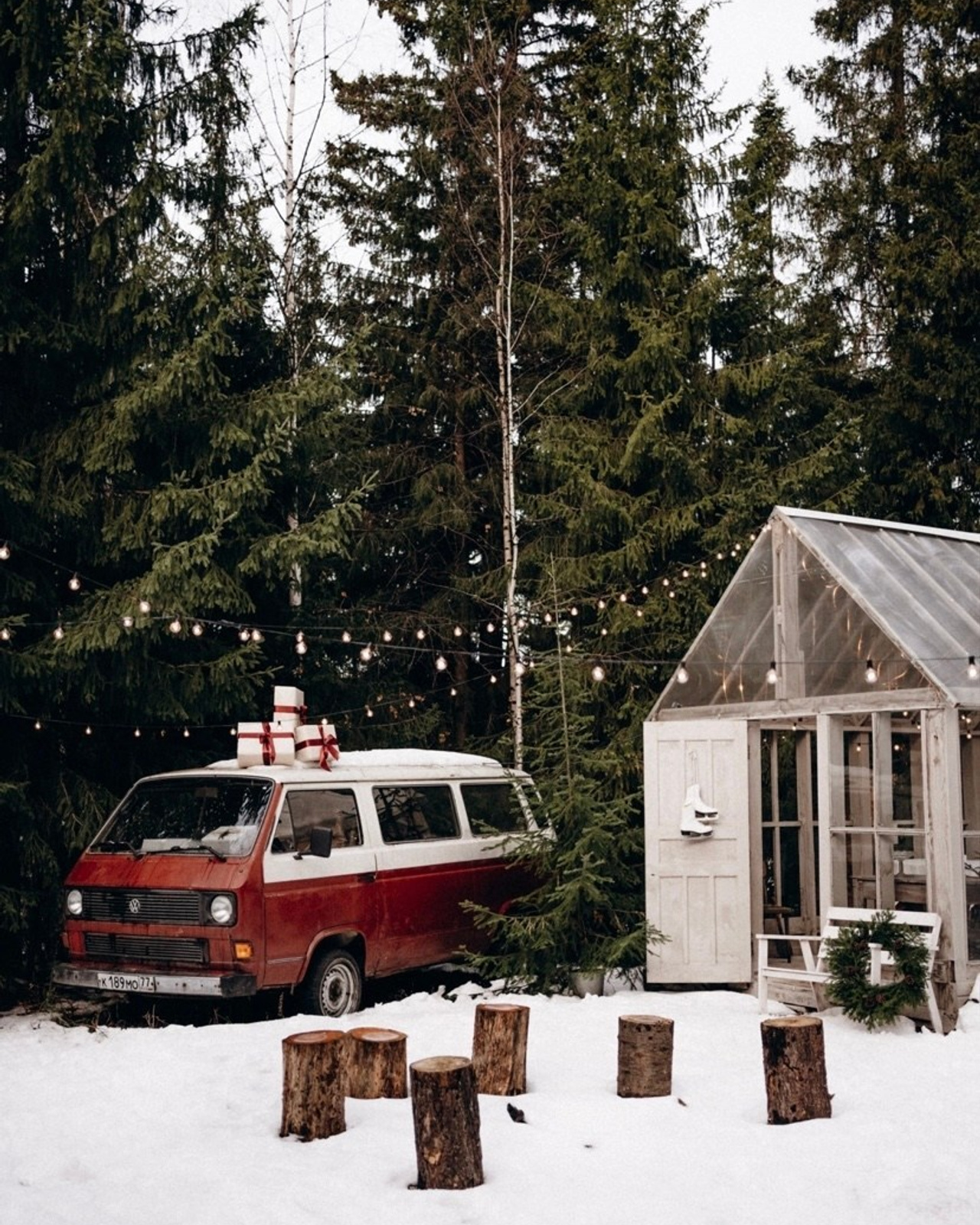 Фотолокация «Forest», Черноисточинск
