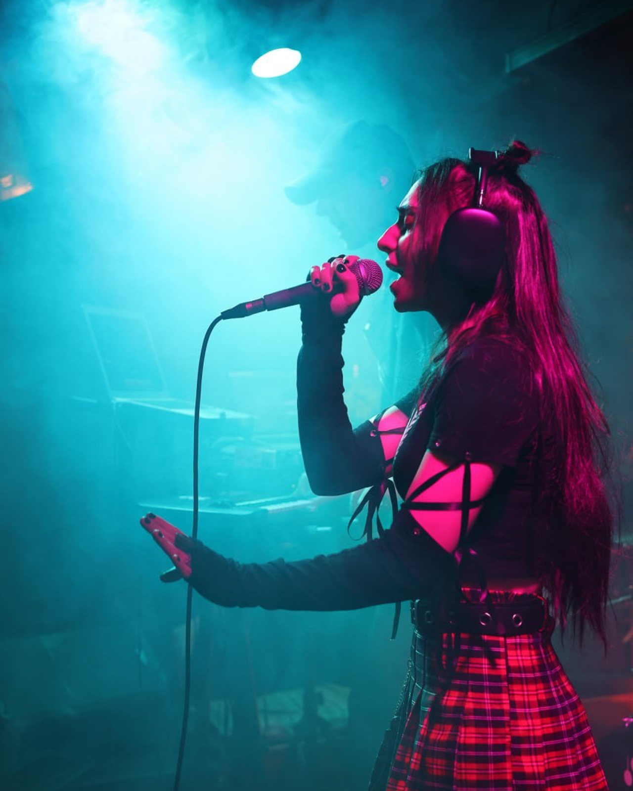 Концерт "Милана Родригез"