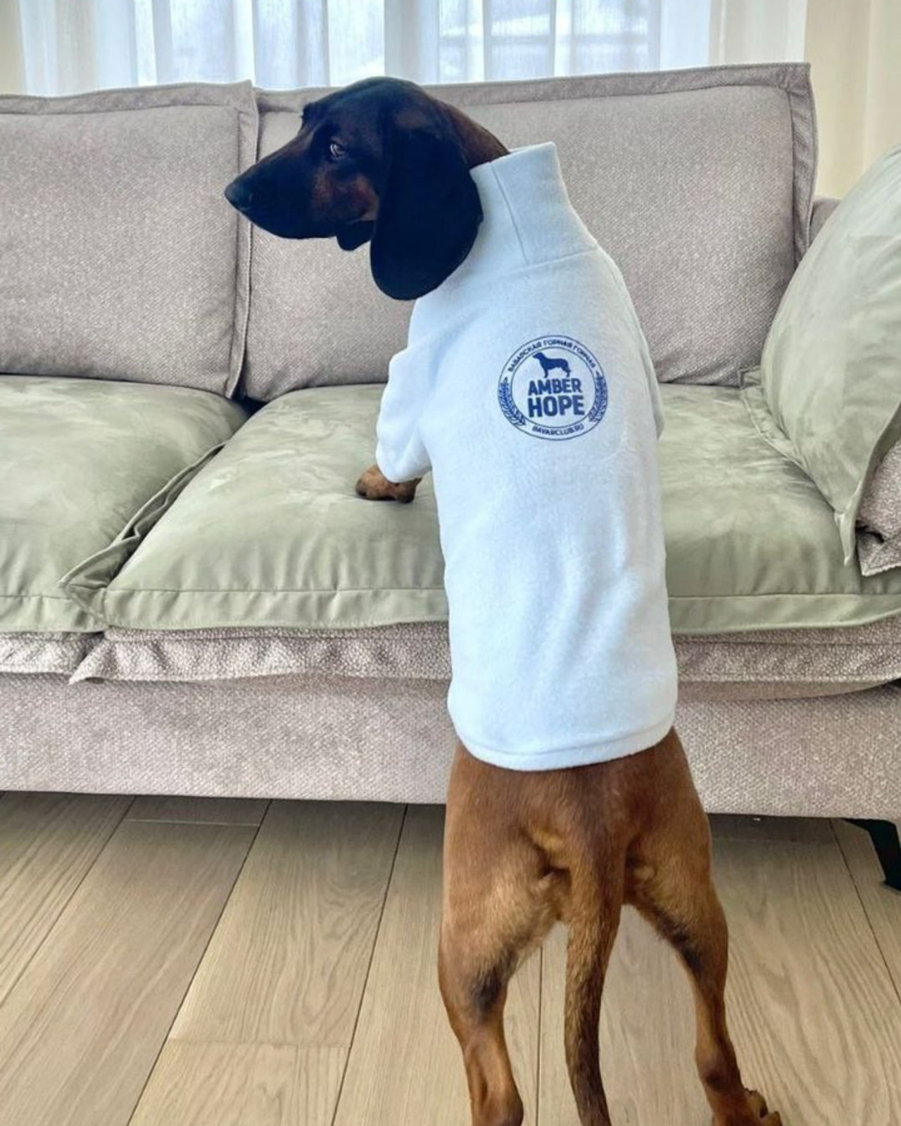 Лого для питомника баварских гончих AMBER HOPE