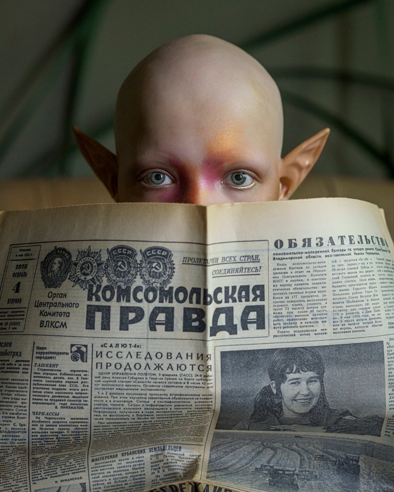 Будни эльфа