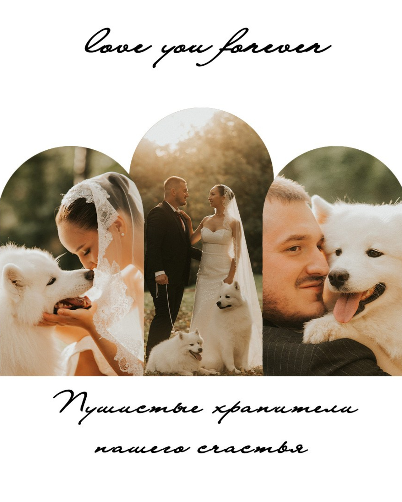 Любовь, клятва и&nbsp;хвосты