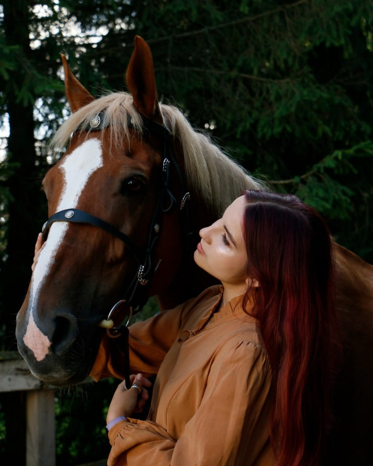 Horses