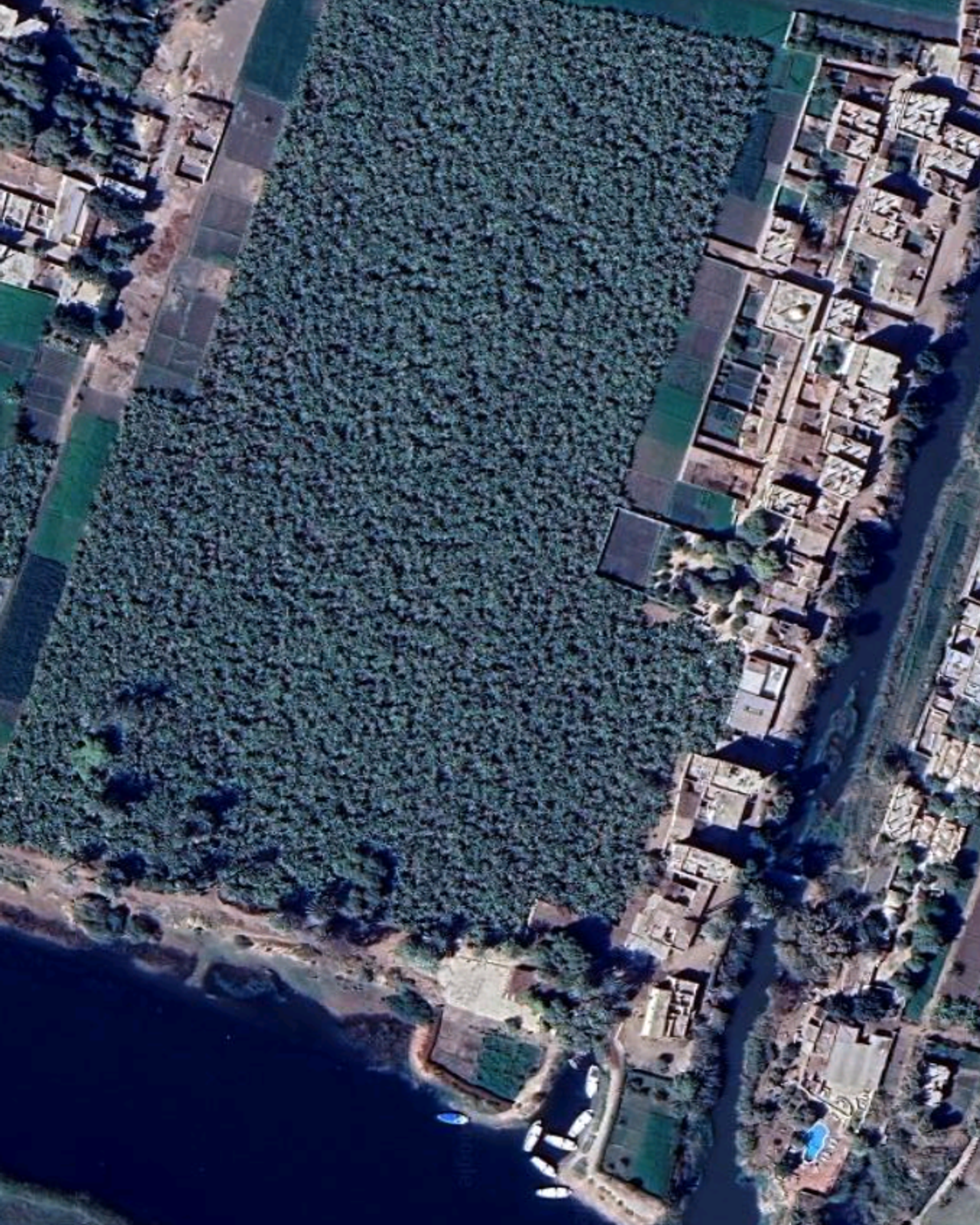 Банановый остров