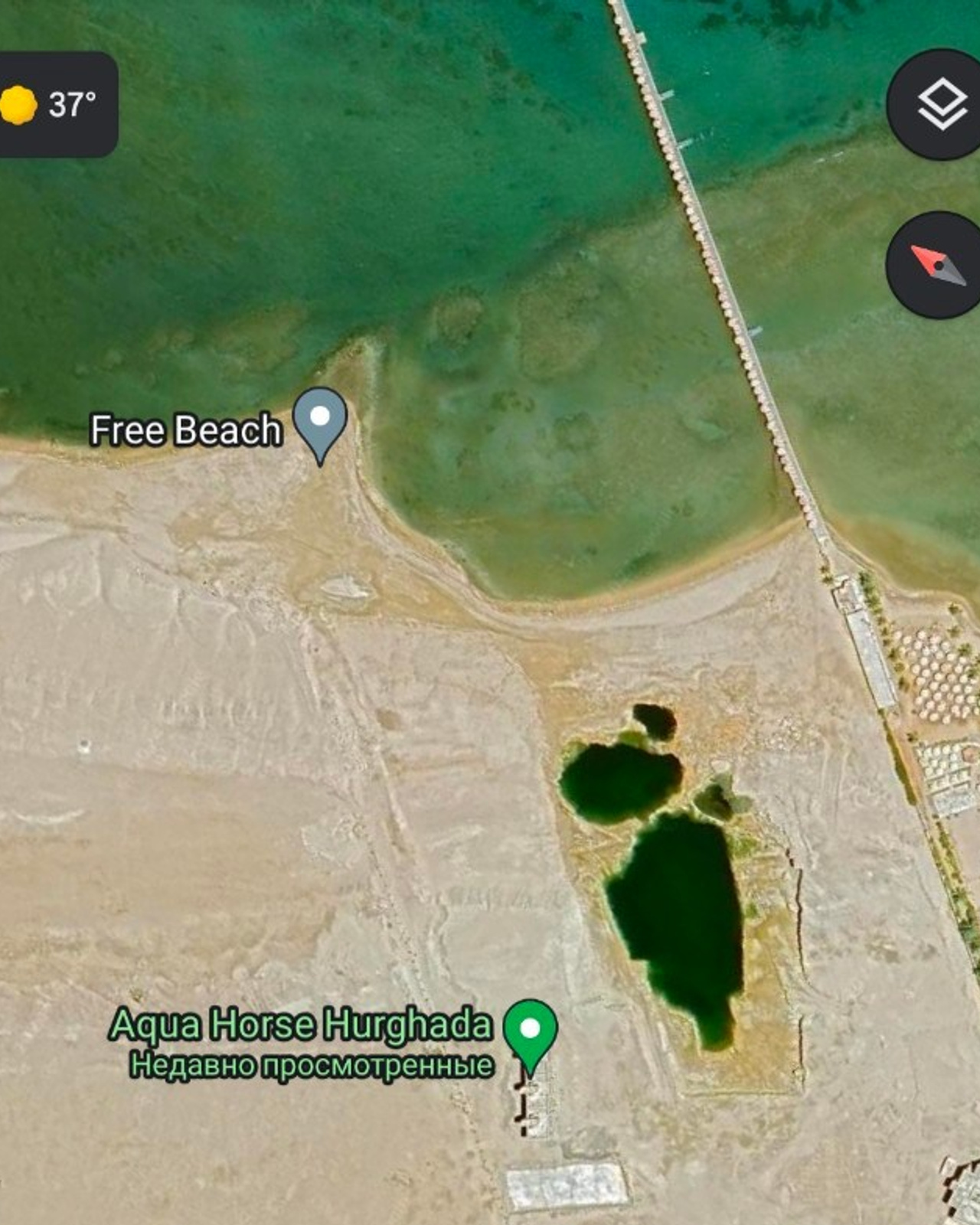 Лошадиная ферма