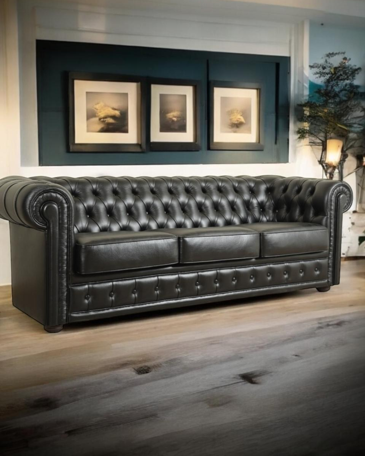 Честер 3р от 79 000