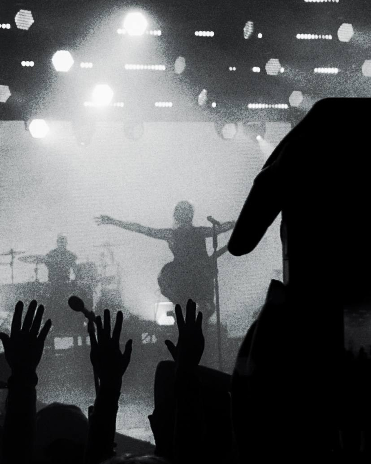 концертные фото