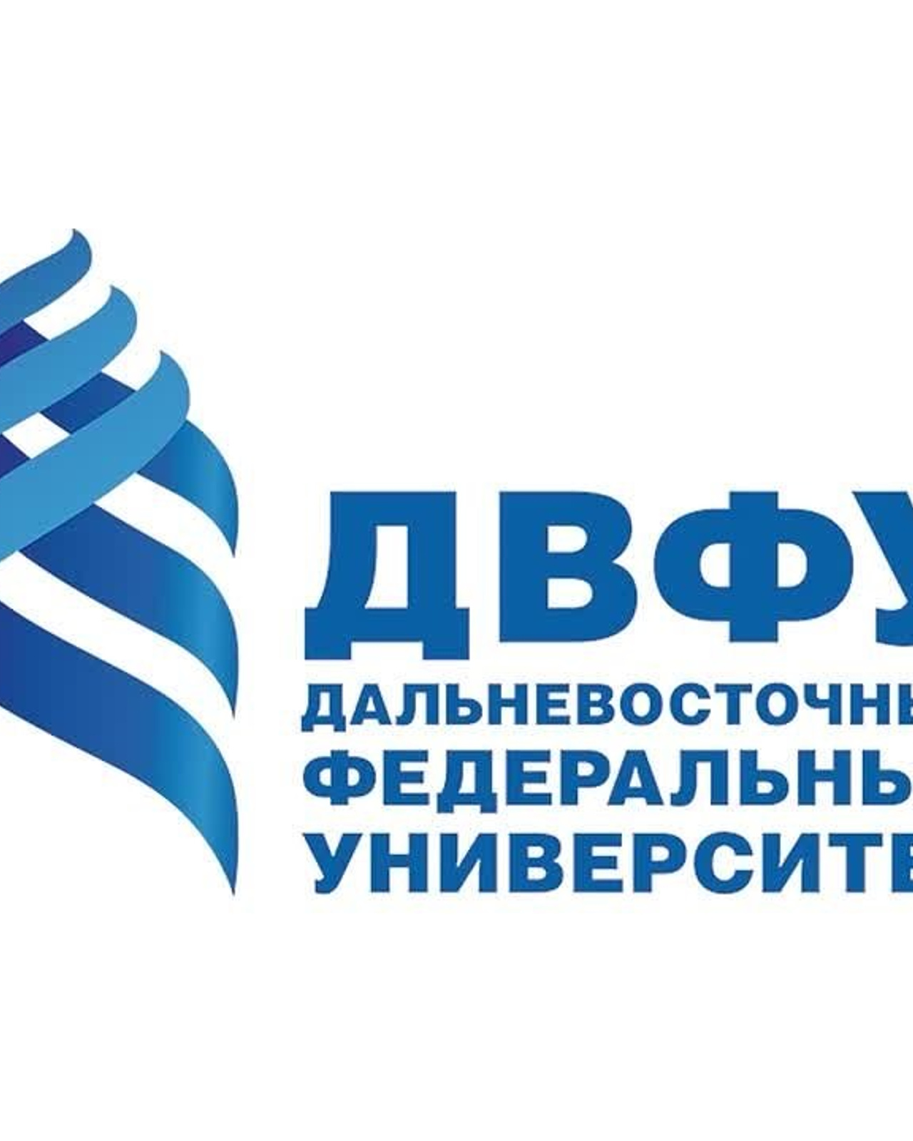 ВЭФ-2026