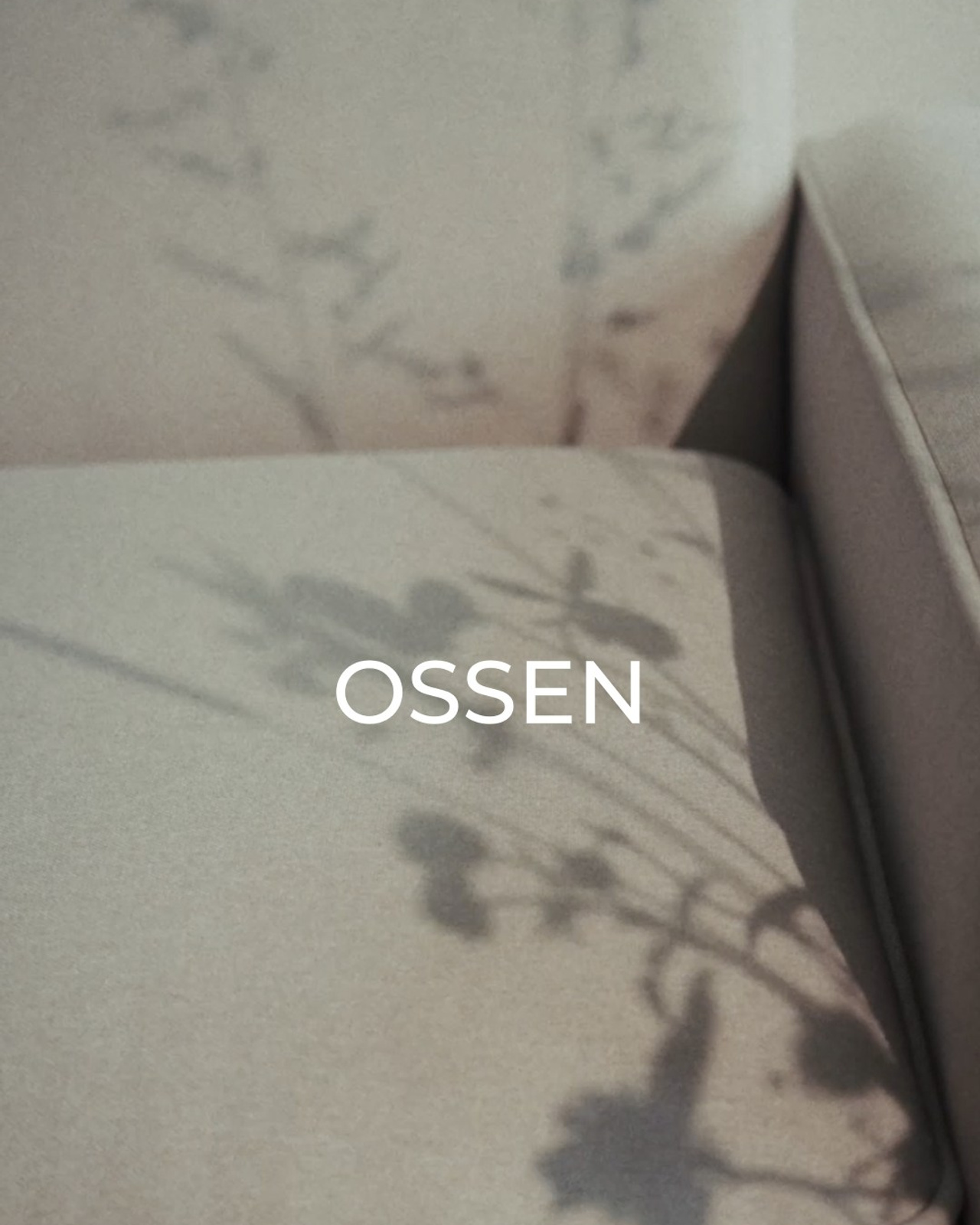Mood видео для бренда OSSEN