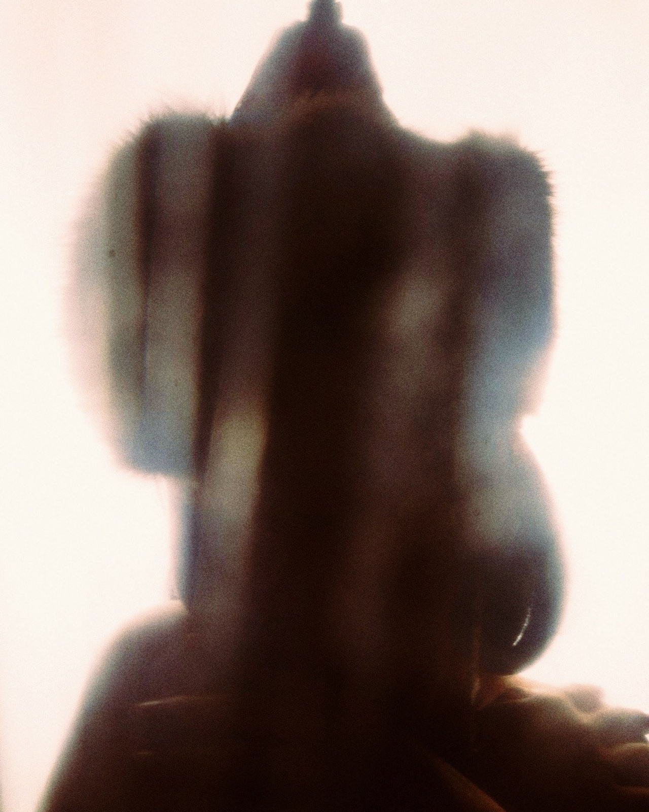 soul